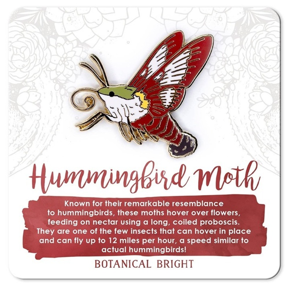 Hummingbird‎ Moth Enamel Pin - Gold Plated Insect Jewelry - Nature Brooch